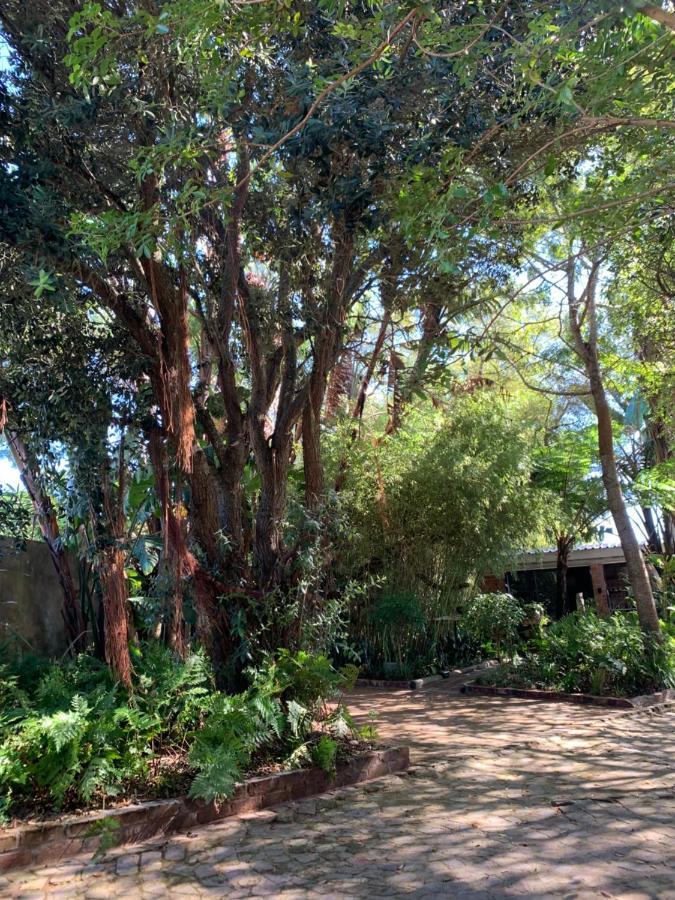The Secret Garden Hideaway Apartment Mossel Bay Exterior photo