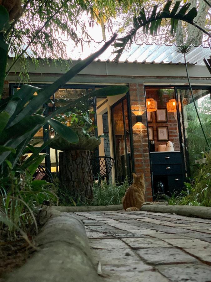 The Secret Garden Hideaway Apartment Mossel Bay Exterior photo